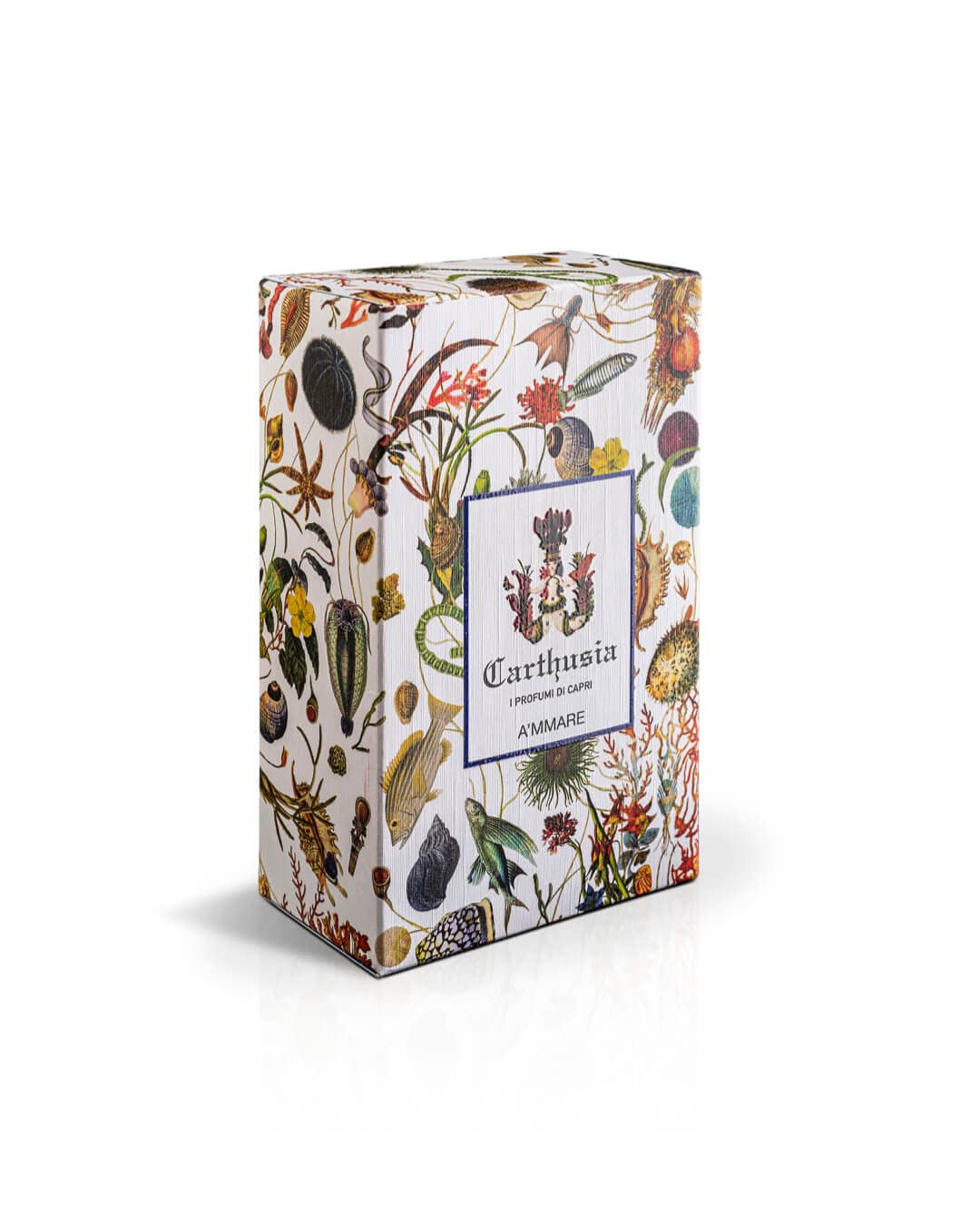 Amazon.com : Carthusia A'mmare Eau de Parfum 50ml : Beauty